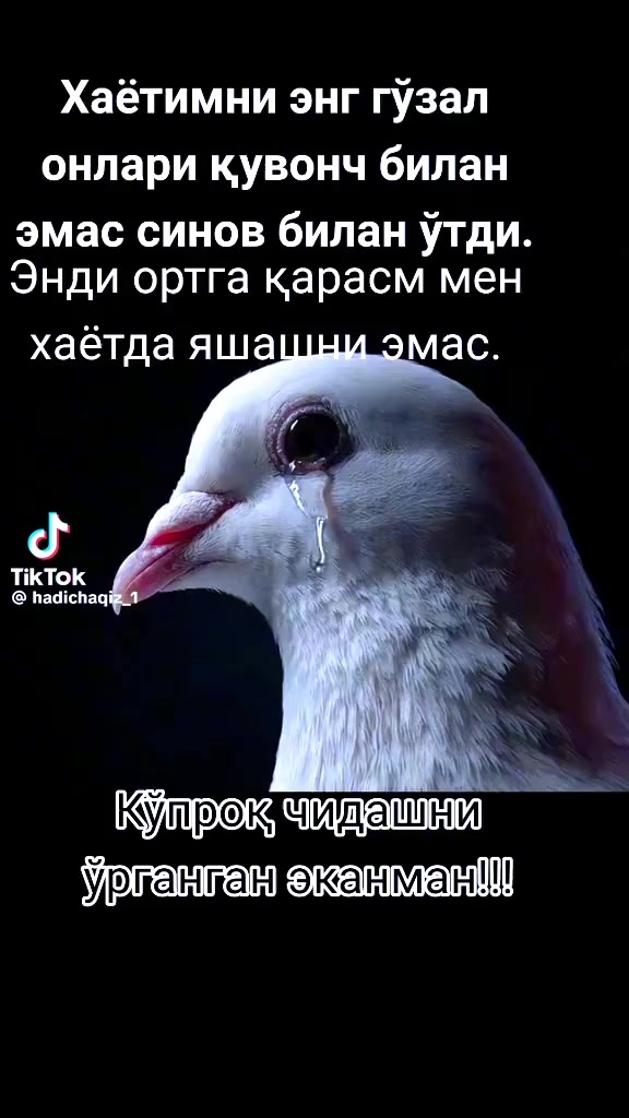 @калбида кир ямон гапи кир юкал