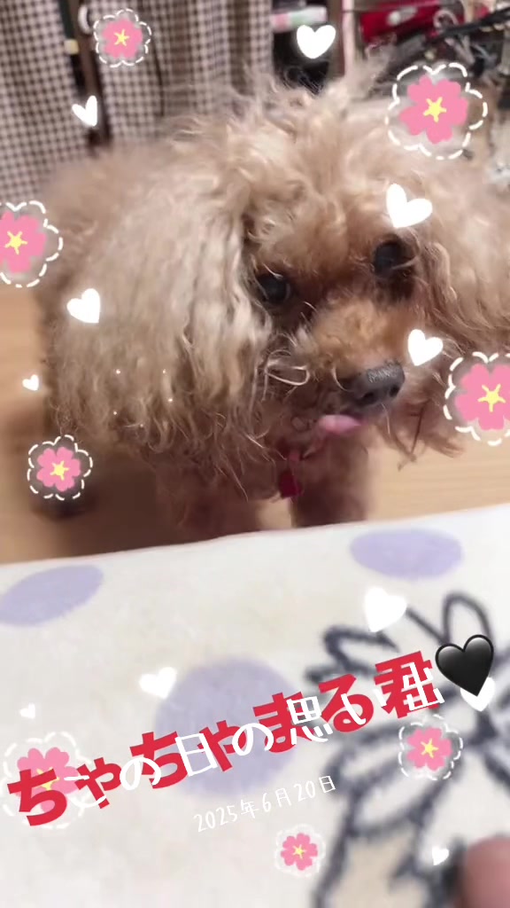 @❥ゆみきち੯•໒꒱ྀིᰍᩚ