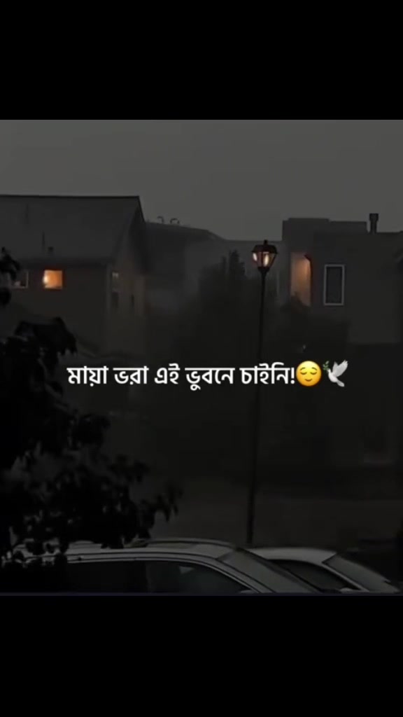 @Tanveer Evan.