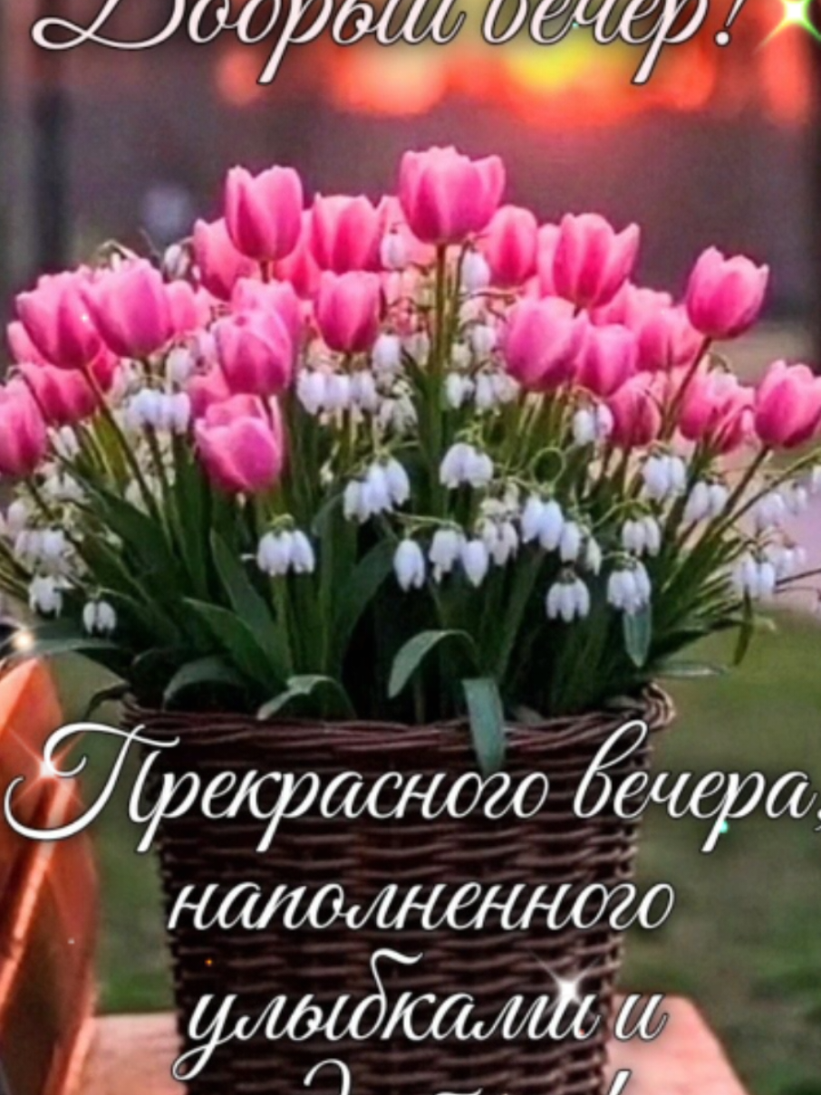 @💫✨️natalia_3✨️💫