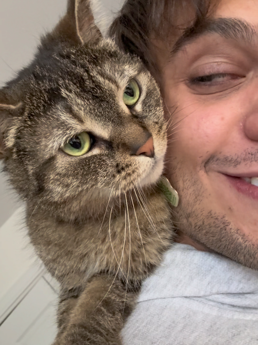 @Bellarda the cat