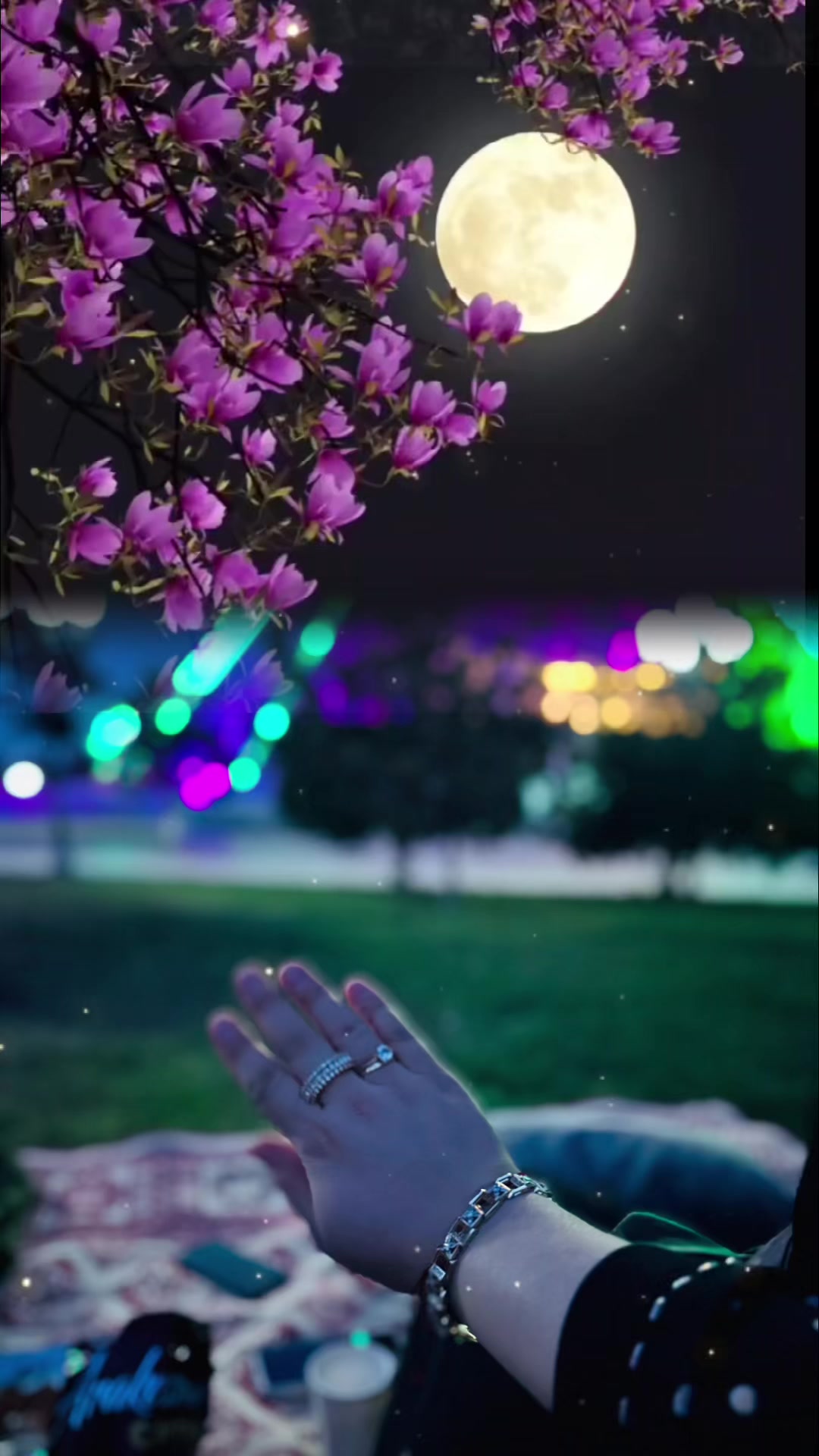 @Şa_zenan🌸