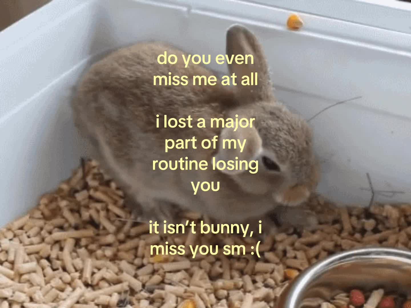 @❀