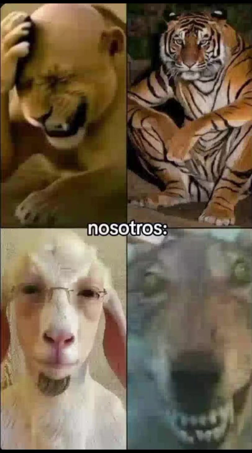 @argentina virus