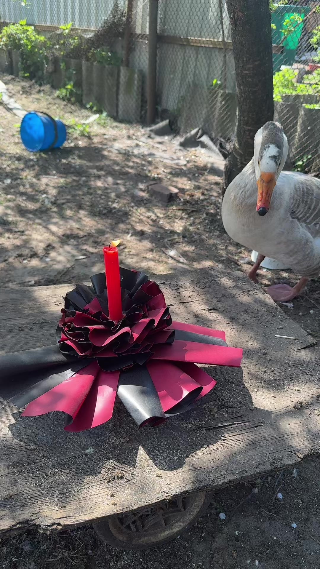 @goose_semyon