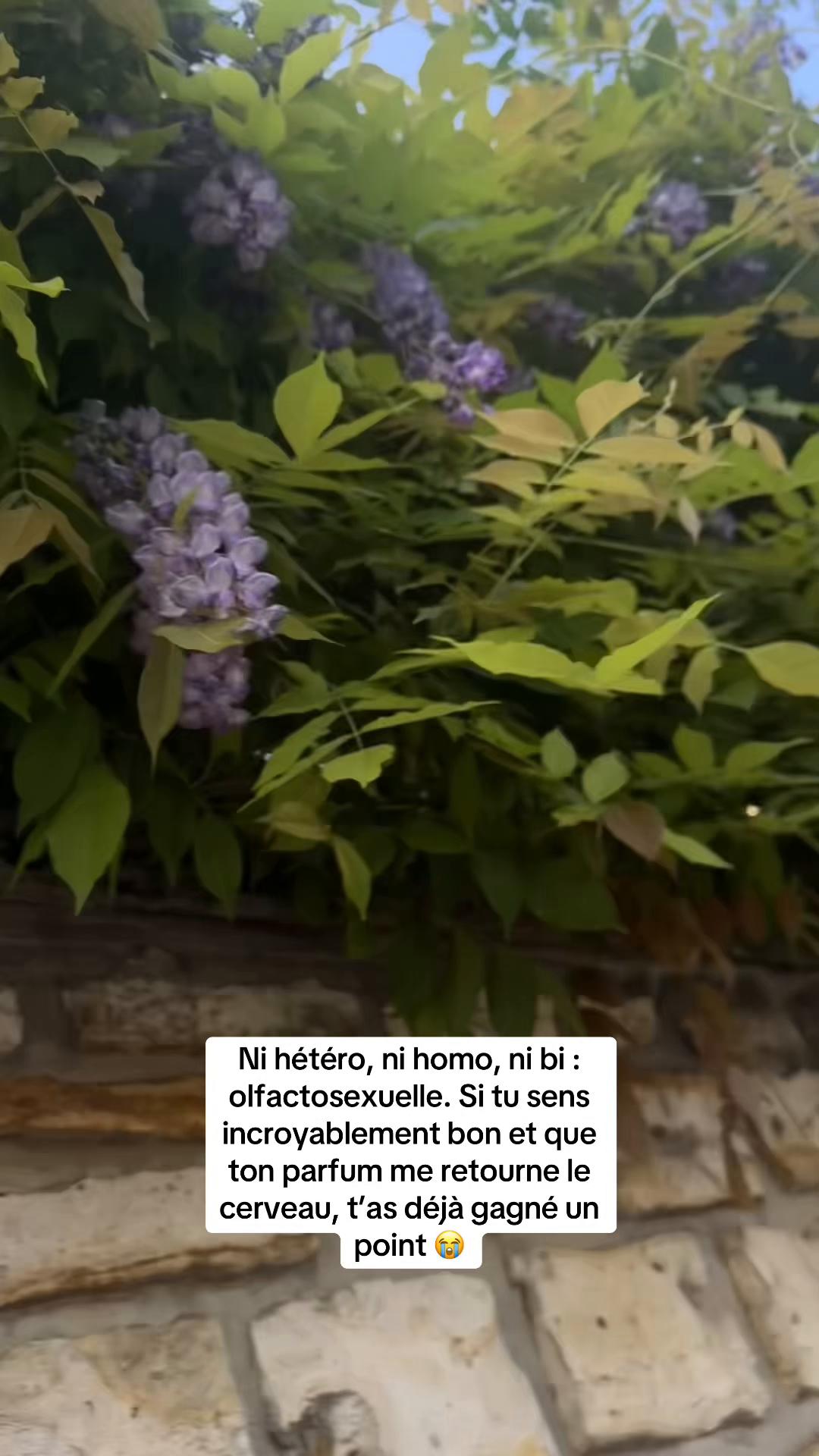 @Ariane.A