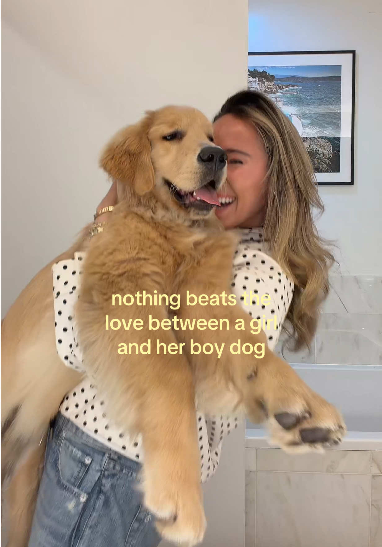 @Livschreiber