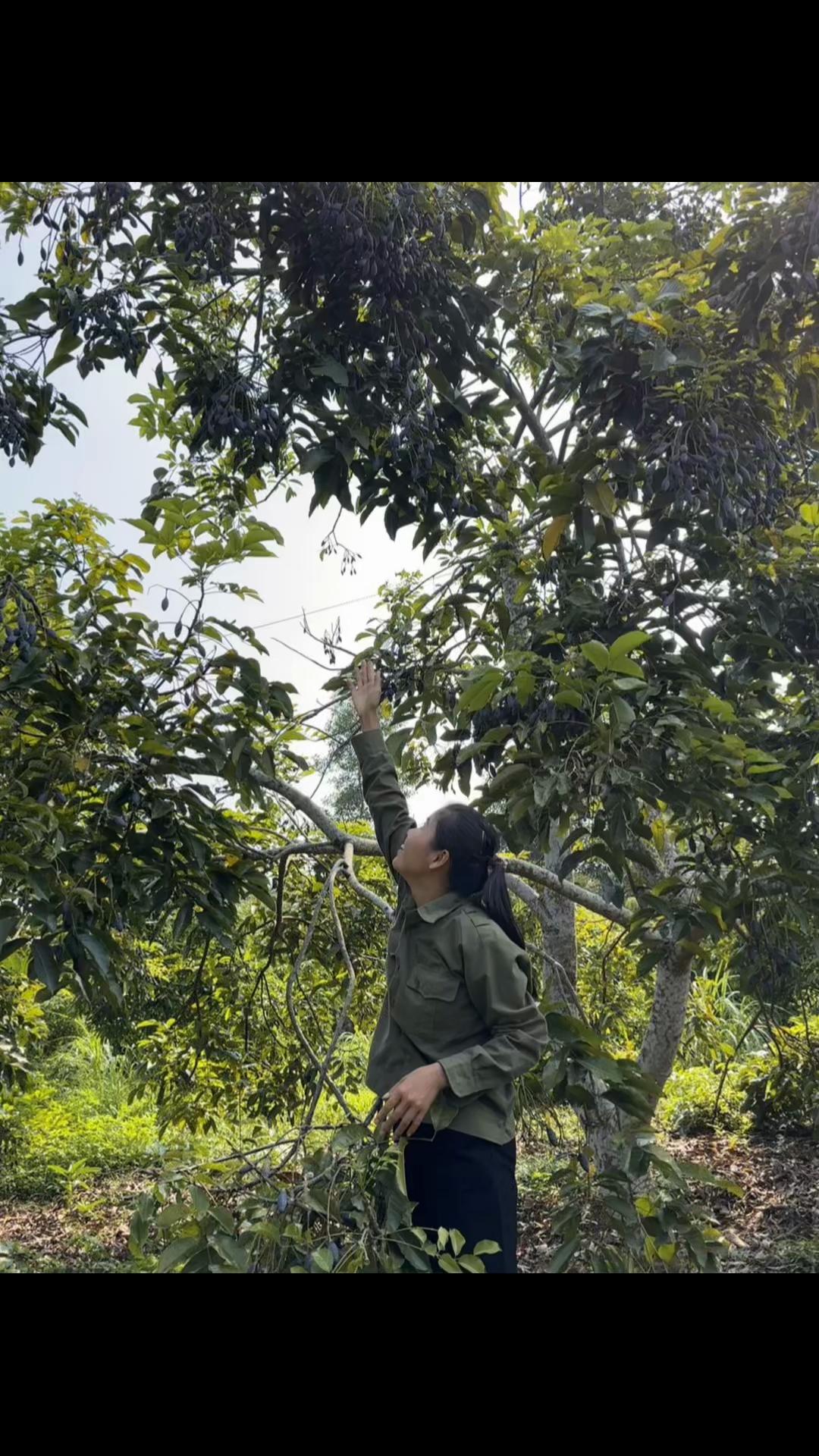 @Nhà Vườn Vũ Mai