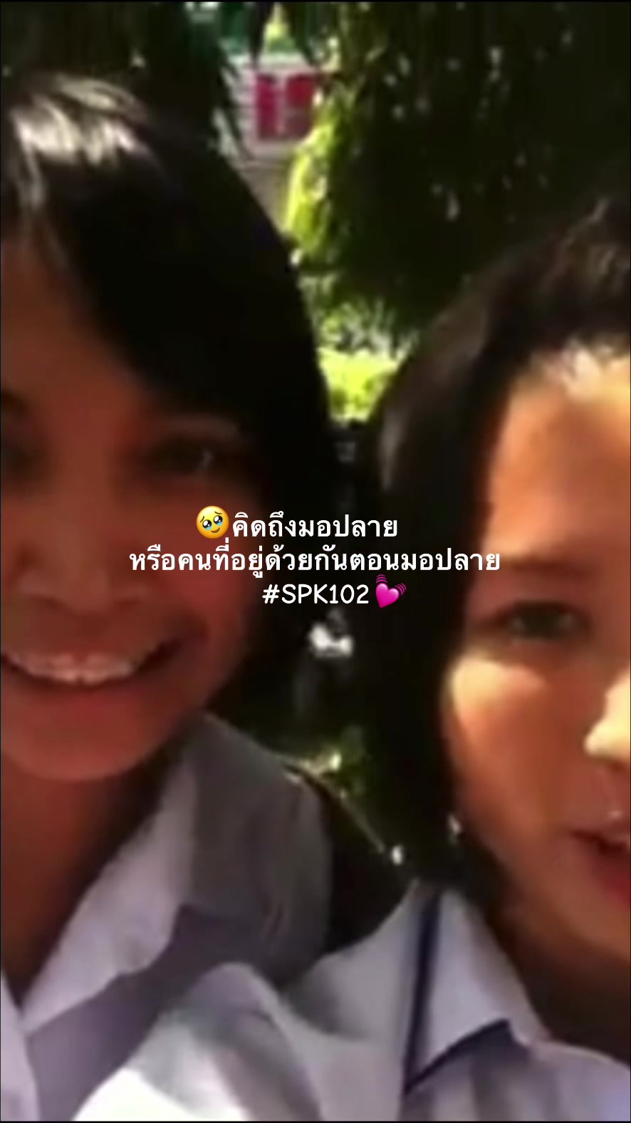 @มาม๊าไผ่ของหนูพีร์เจ🐰✨