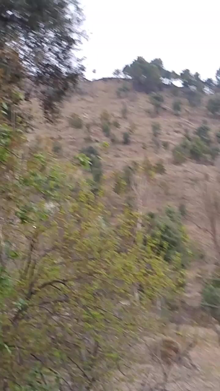 @محمد ابراہیم کشمیری 786