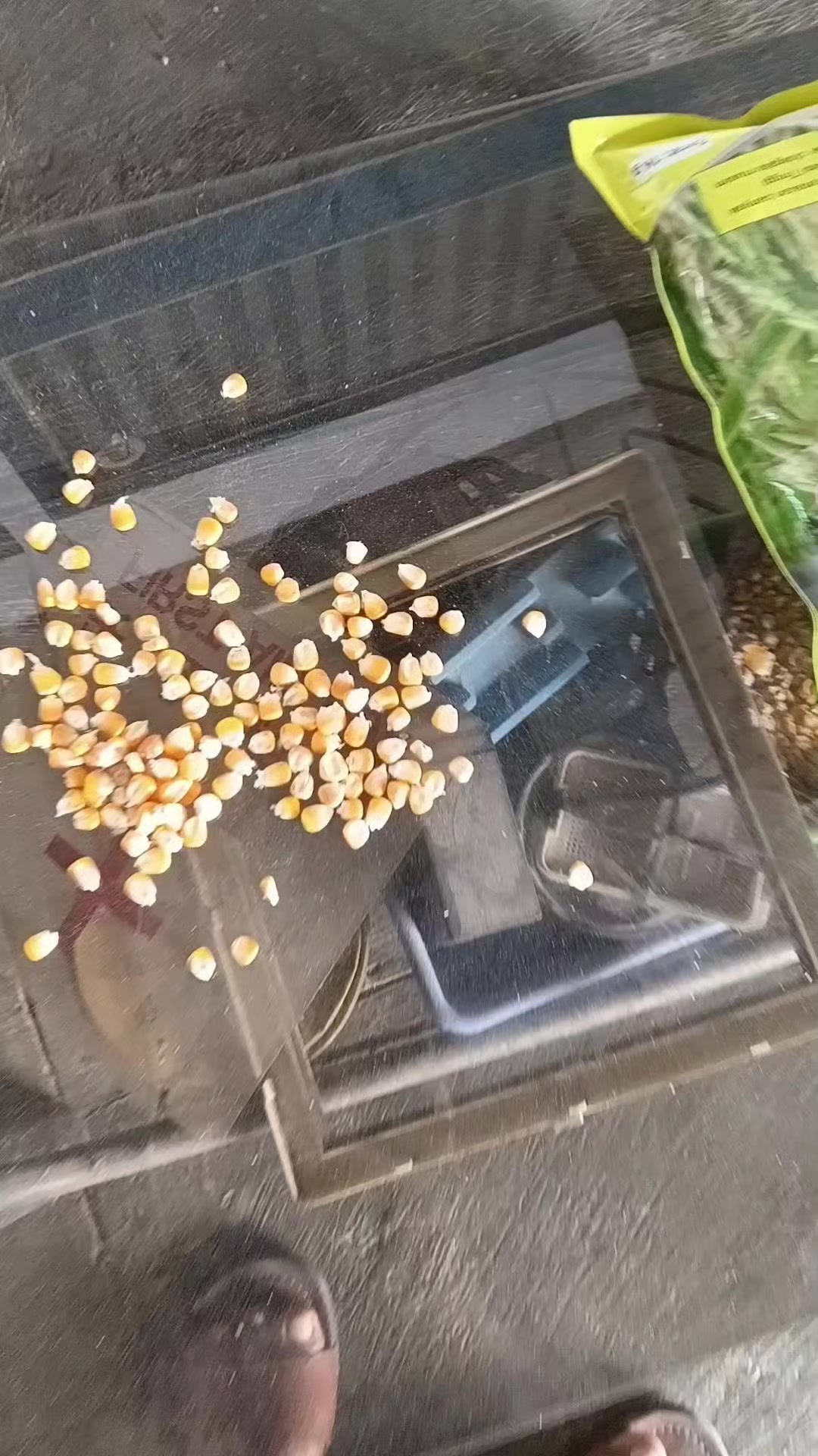 @Legenda Rasamala