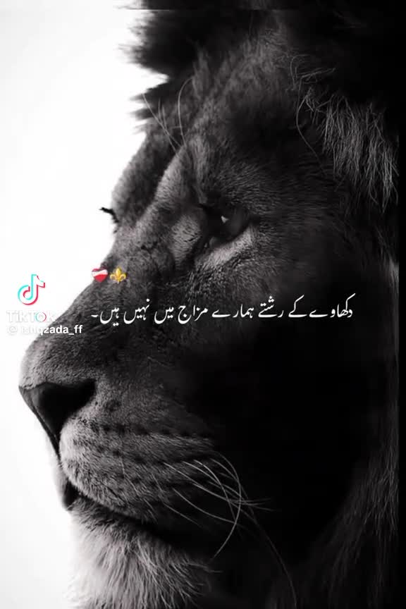 @AliRaza Awan