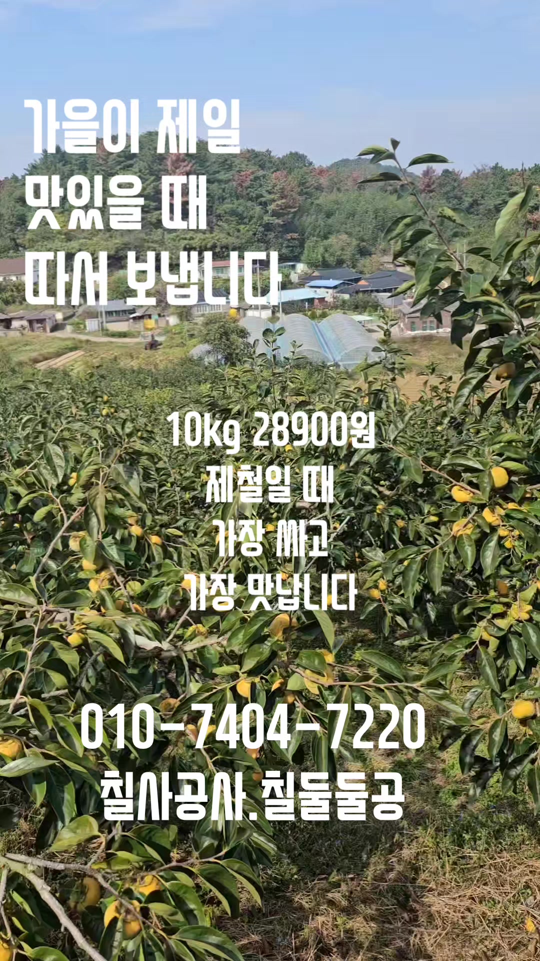 @새콤과일장터