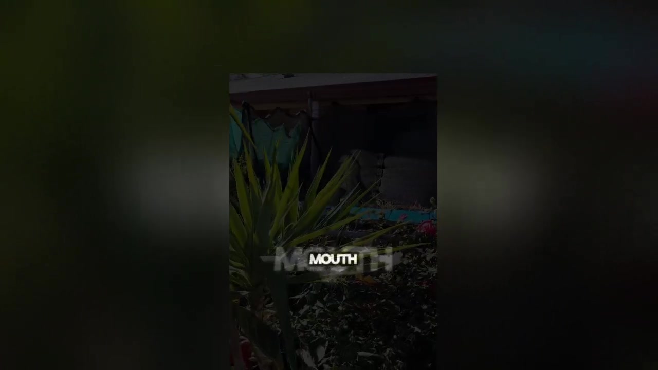 @Uthinkithot_Capcut organic