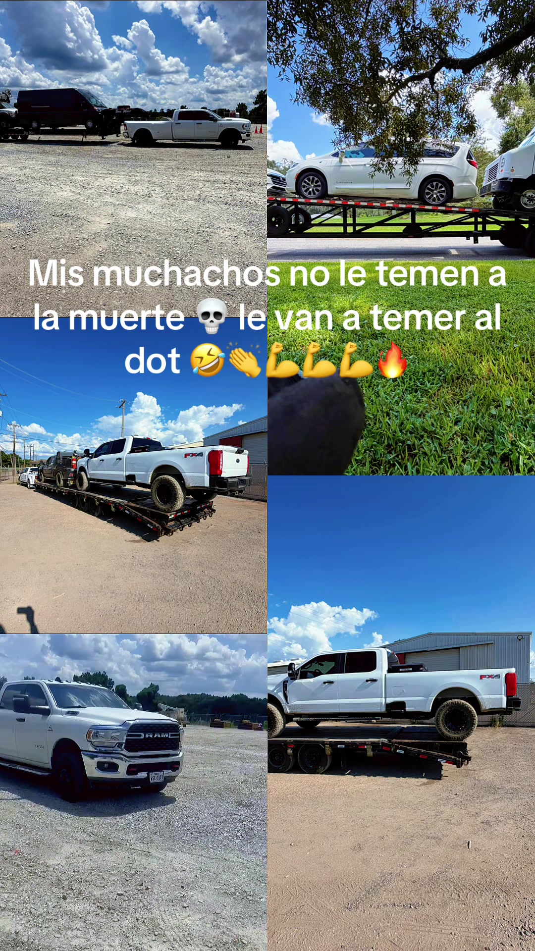 @✌️El papá de los cachorros 🐶