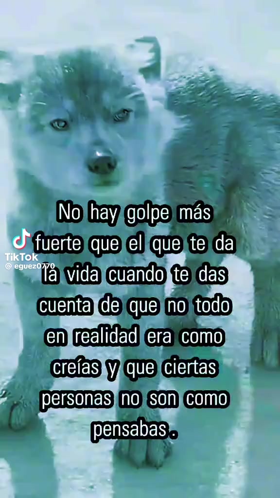 @Noemi Pas Ven