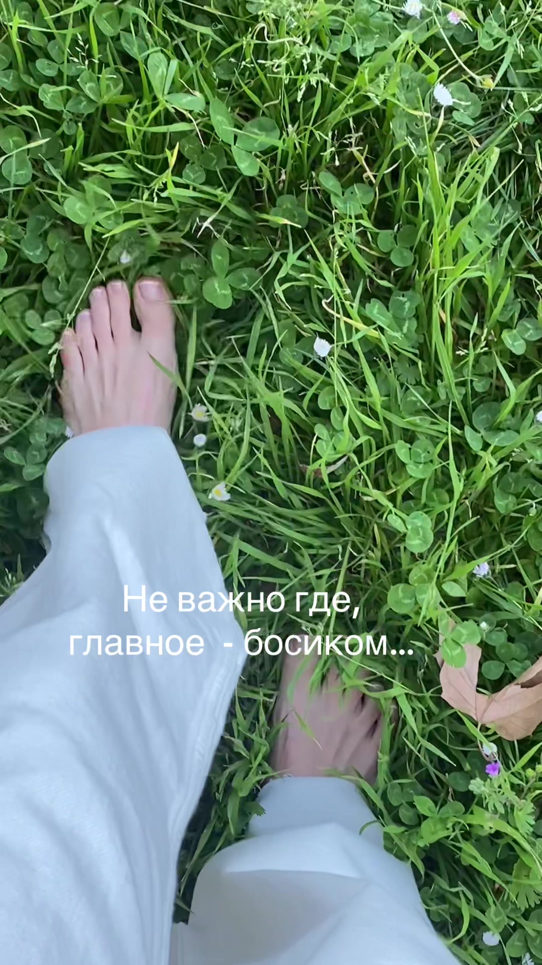@Елена Полещук