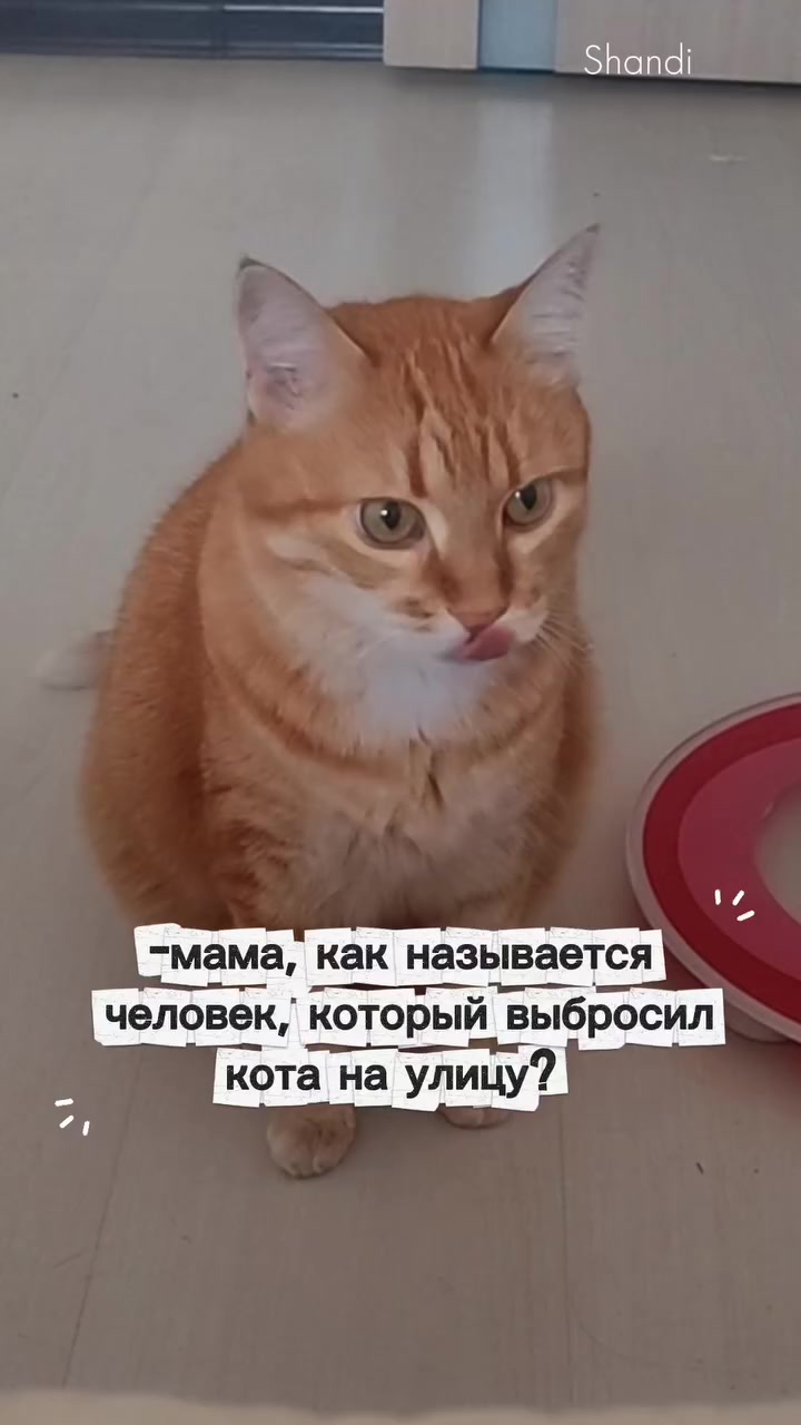 @Машулька
