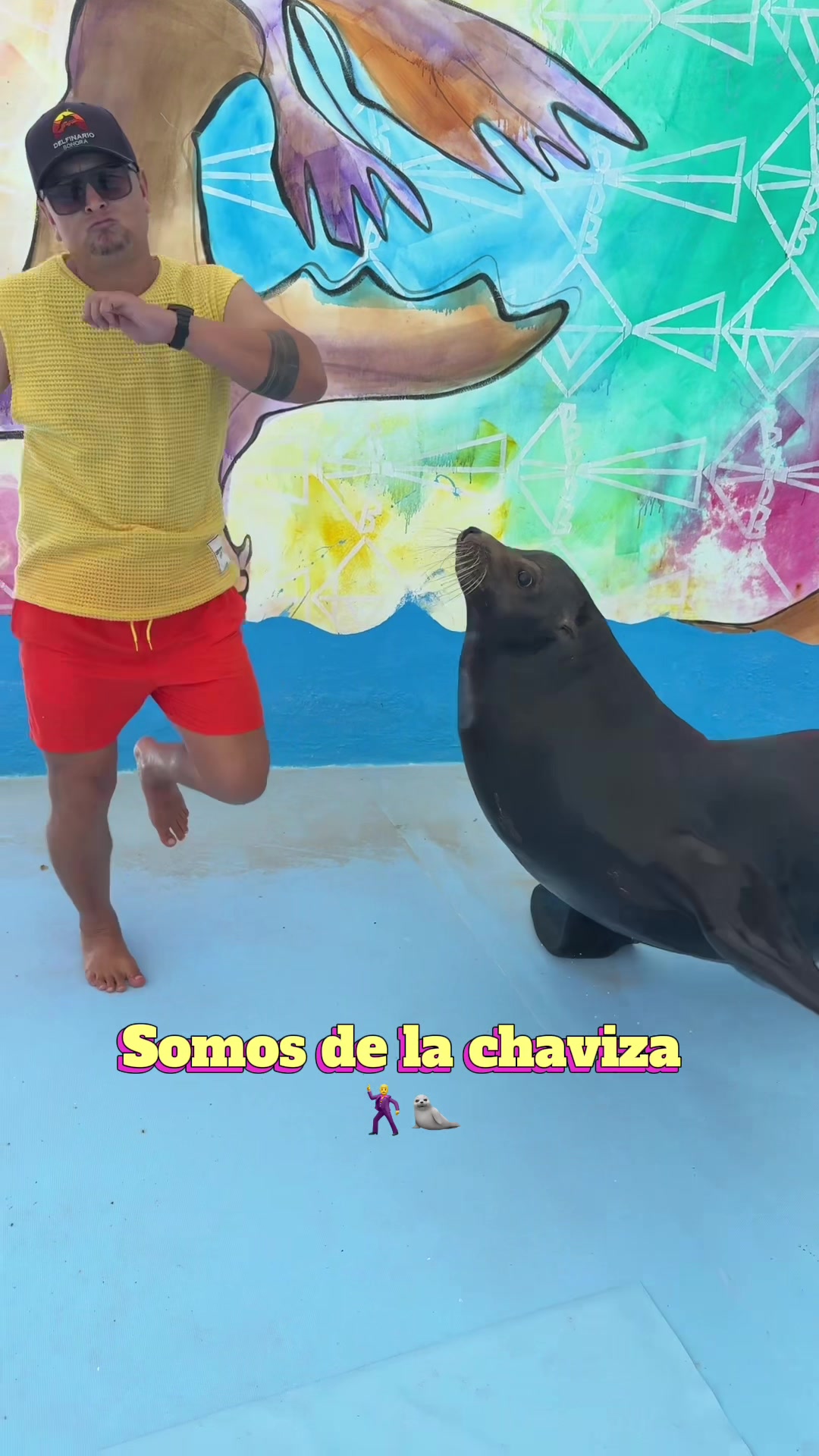 @Juan Anaya Trainer 🐬🦭