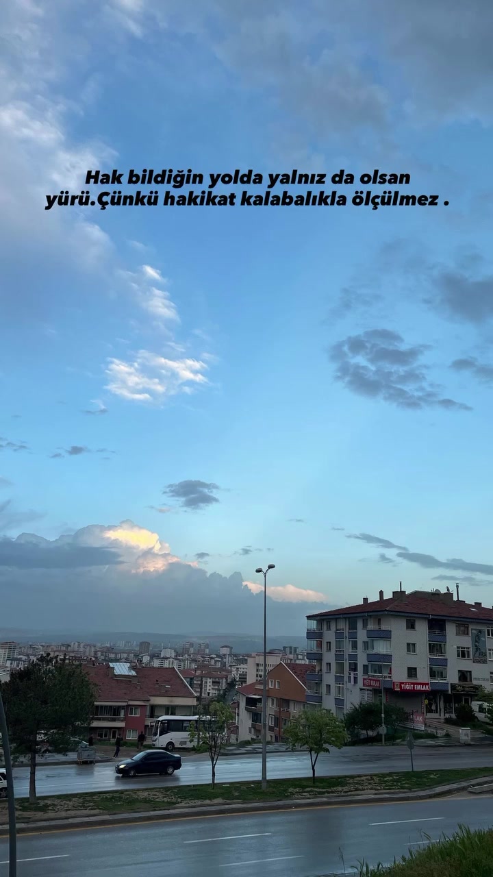 @zerda elvan