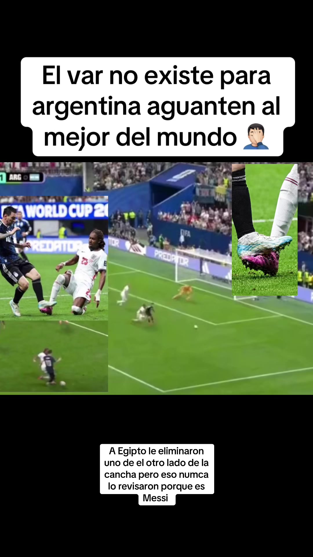 @José Luis Flores