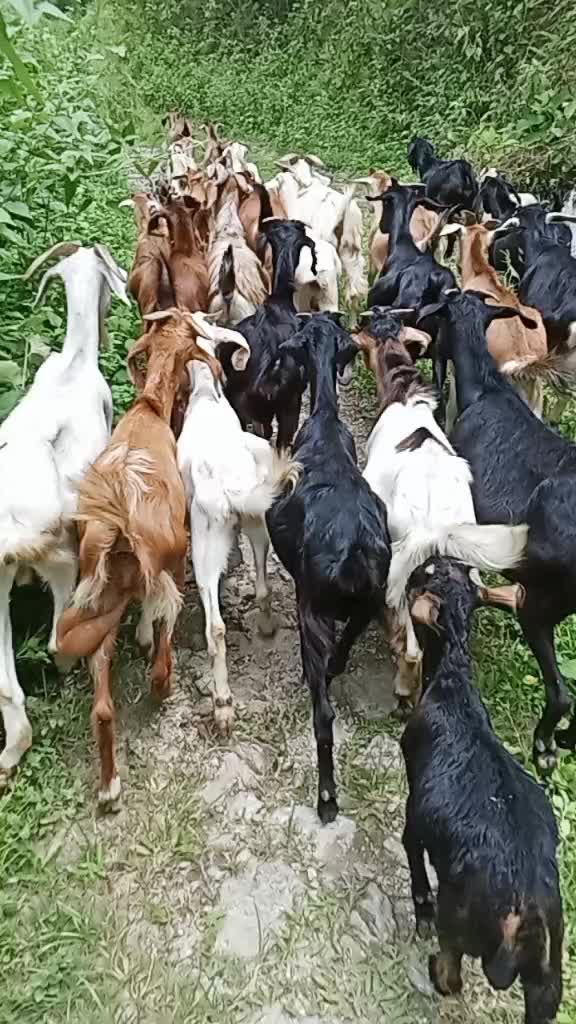 @rk. Xettri.3k