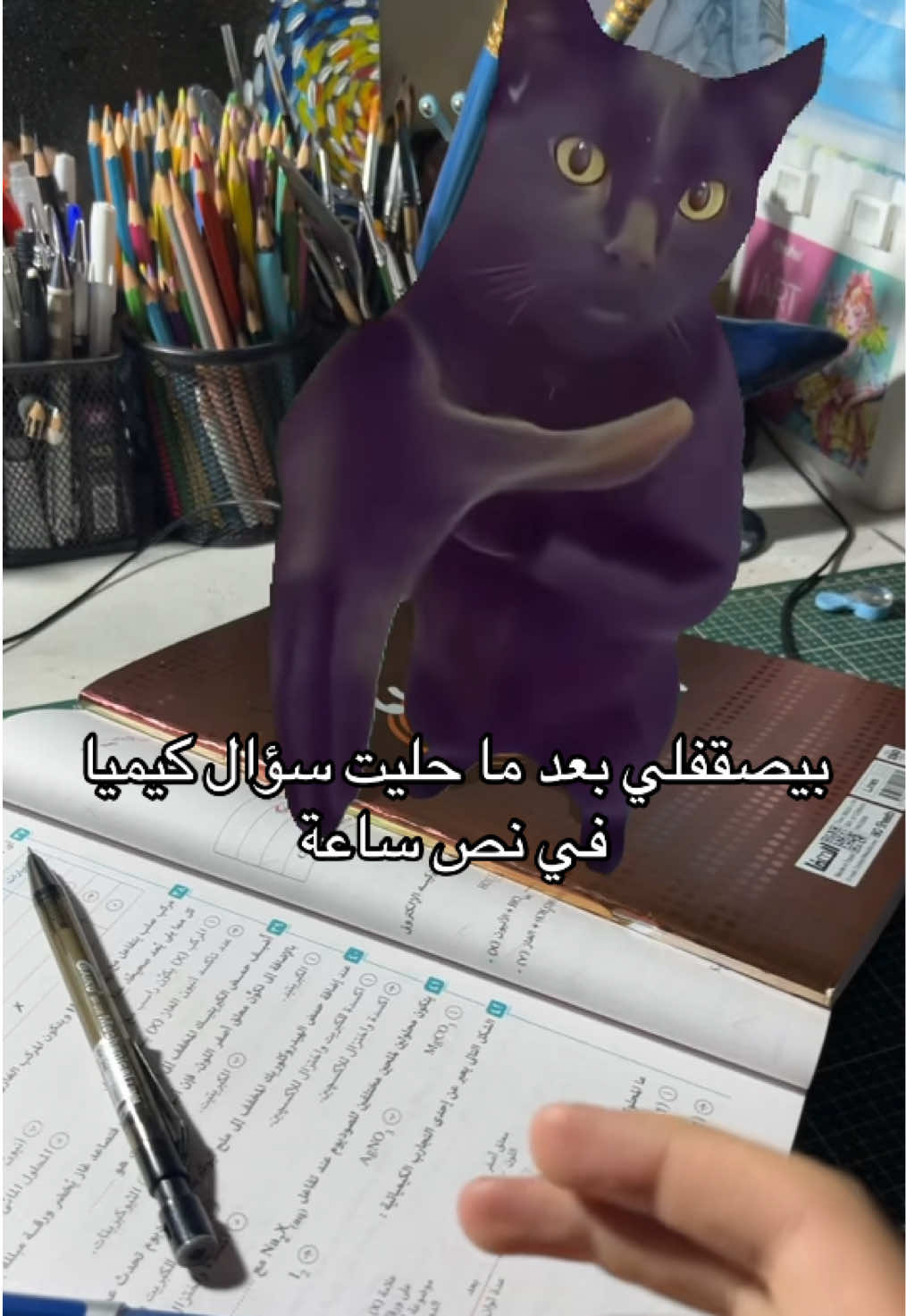 @Belaaaaal⭐️
