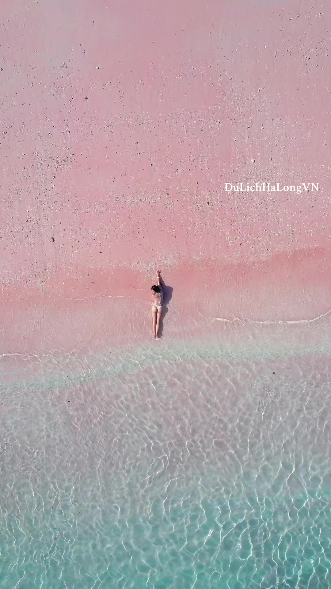 @dulichhalongvn