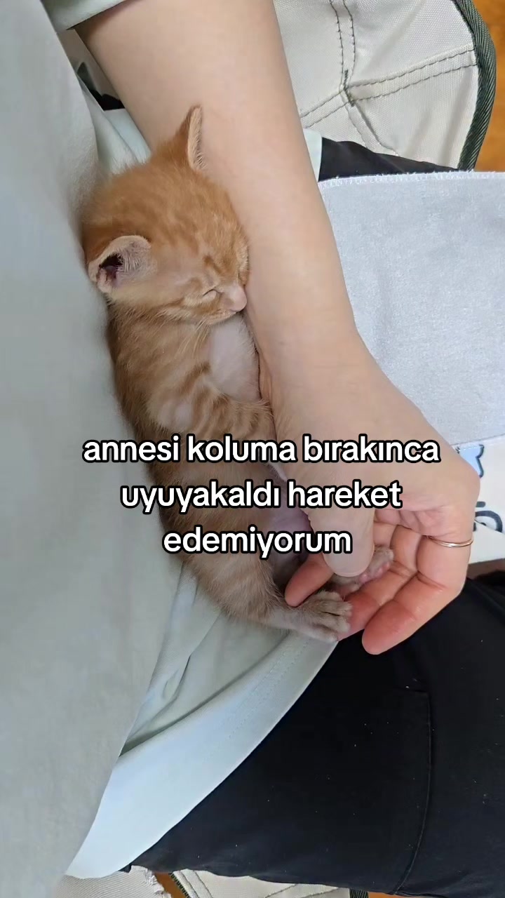 @rolland