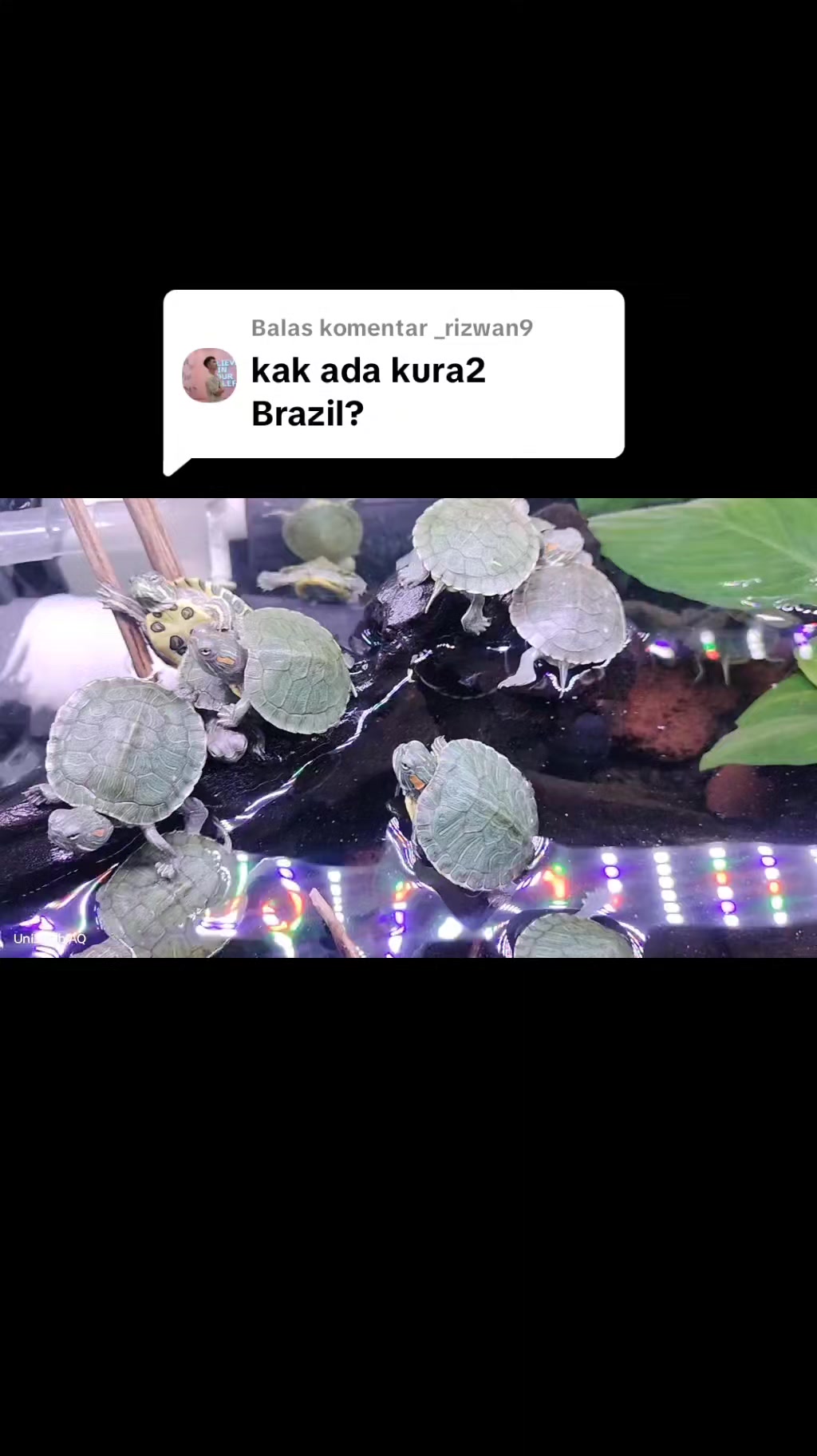 @UniJambi_Aquarium
