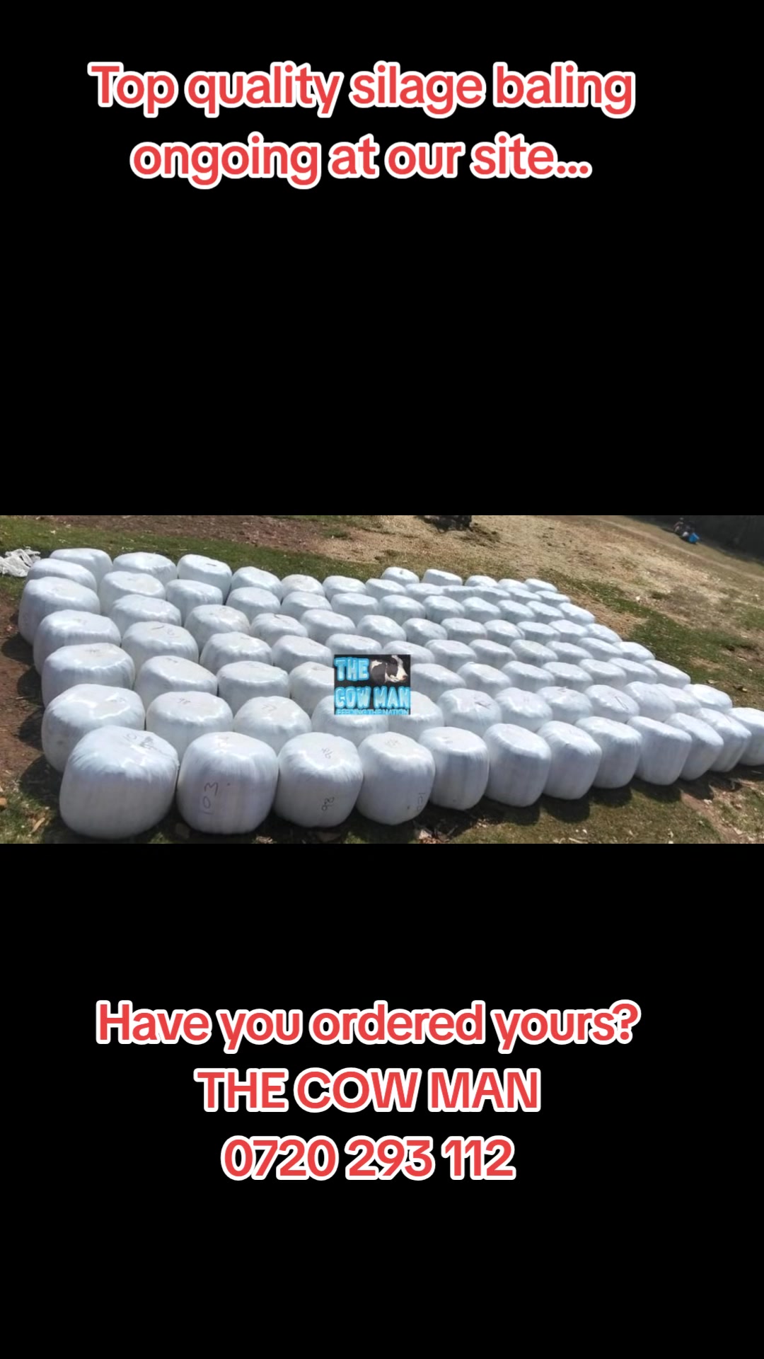 @The cow man