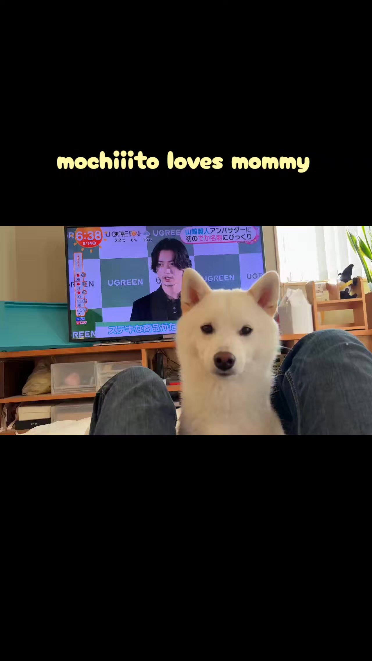@Mochimaru