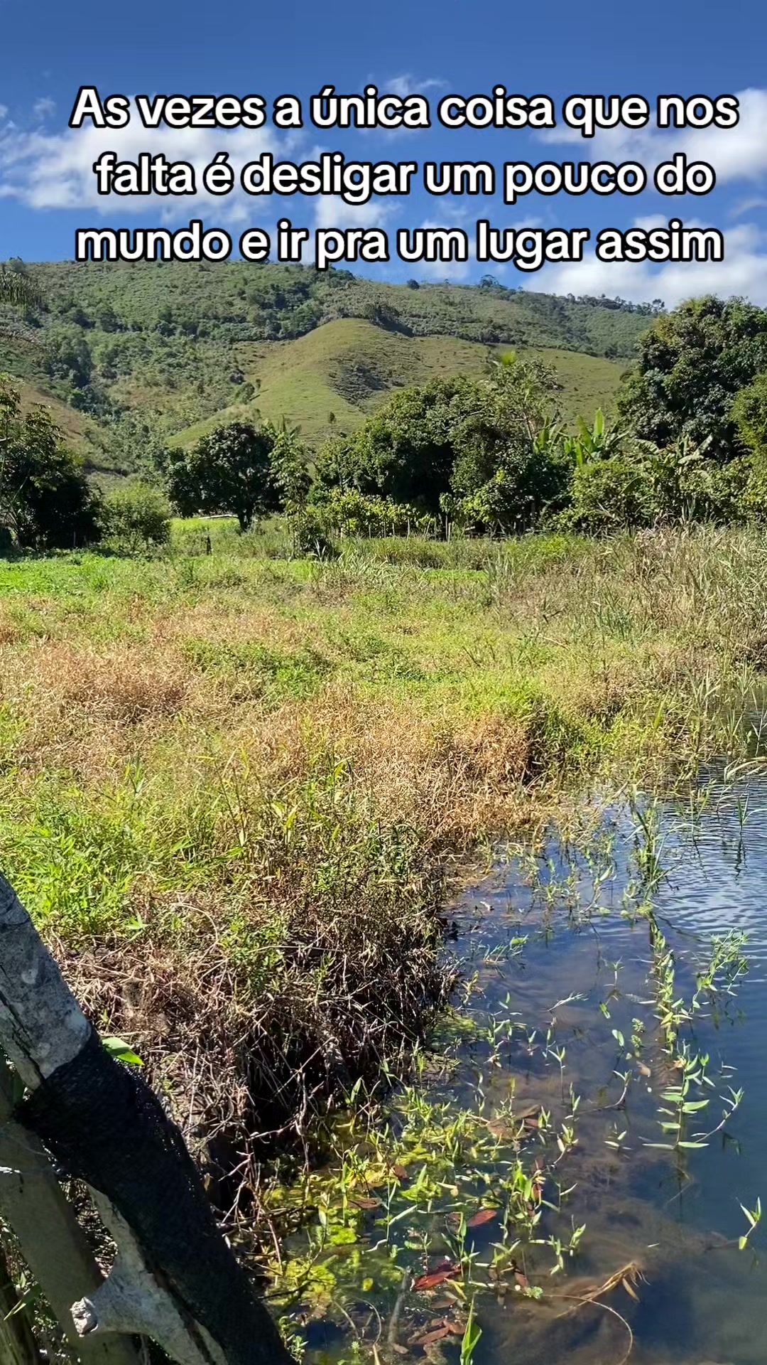 @Ro&ccedil;a 🤠🌱