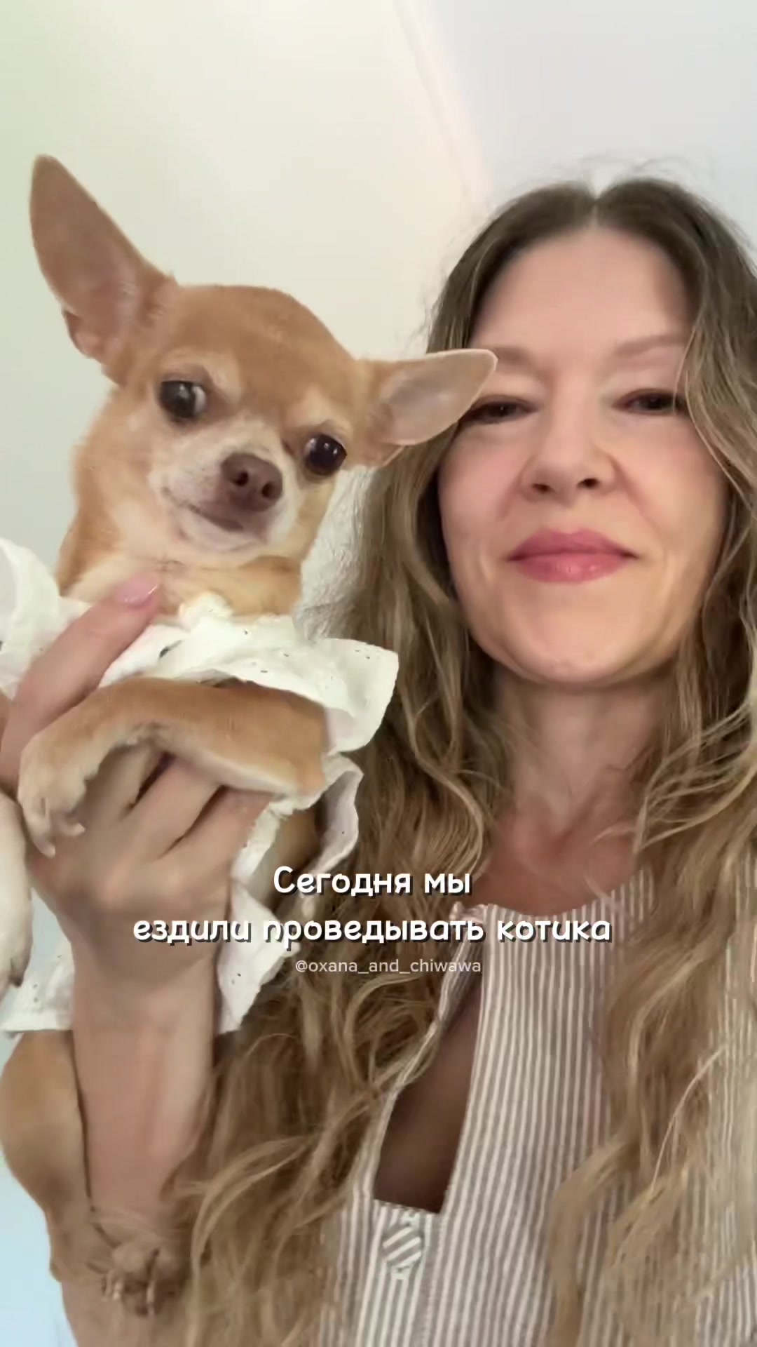 @Оксана & Чихуахуа Бонита
