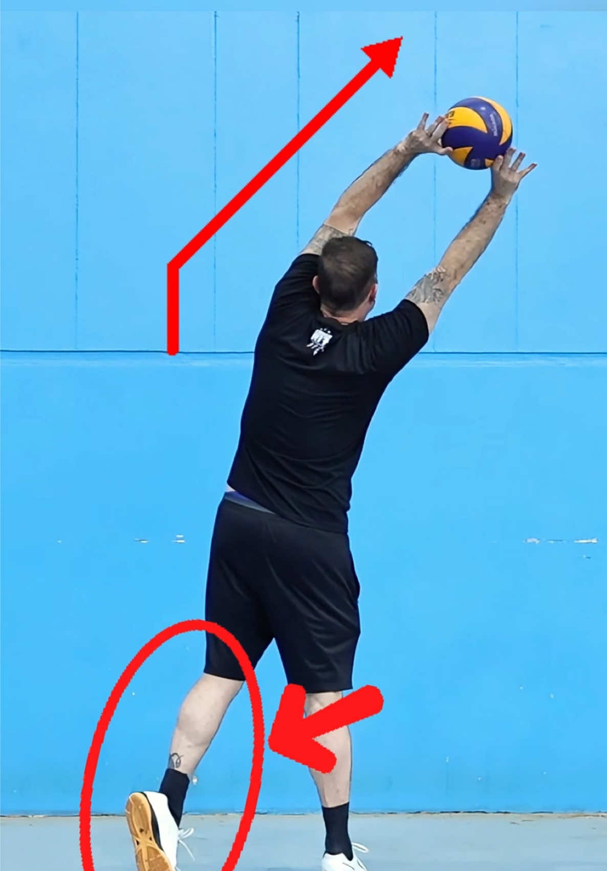@Ricardinho V&ocirc;lei
