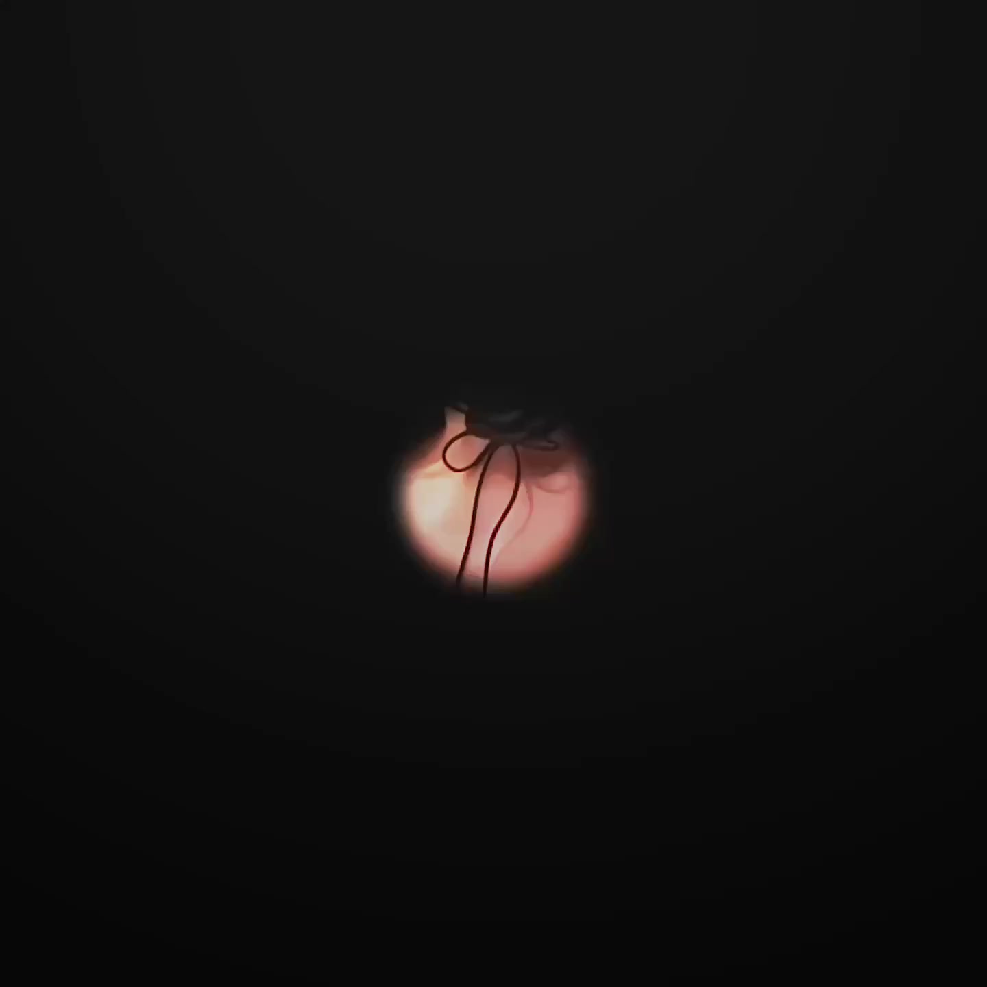 @&bull; ᴍɪʜᴀᴇʟᴀ &bull;