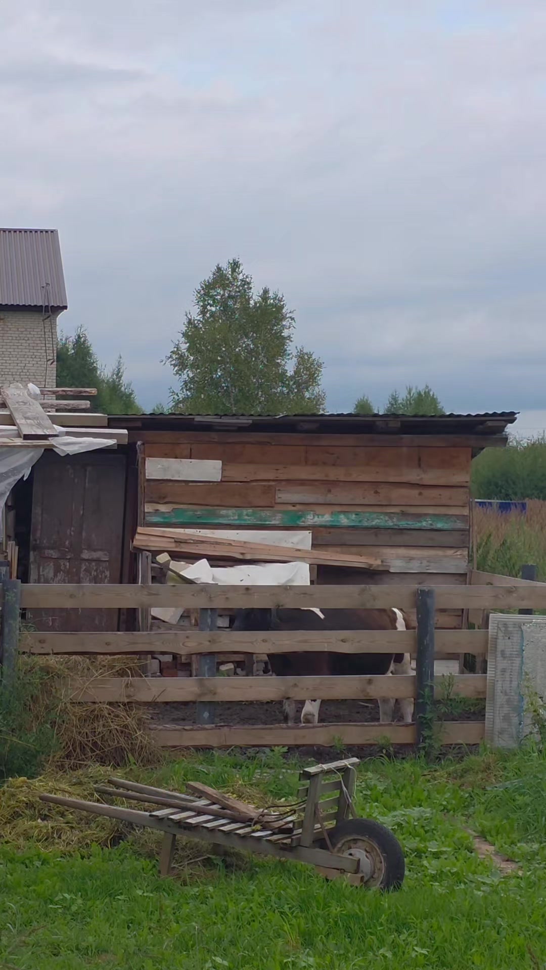 @gribkovkonstantin771Катя