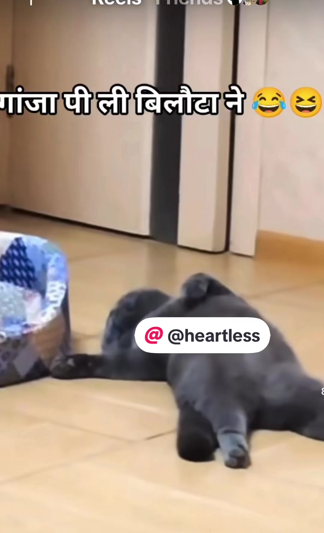 @๐ธ๐บ๐ทNeha๐ท๐บ๐ธ