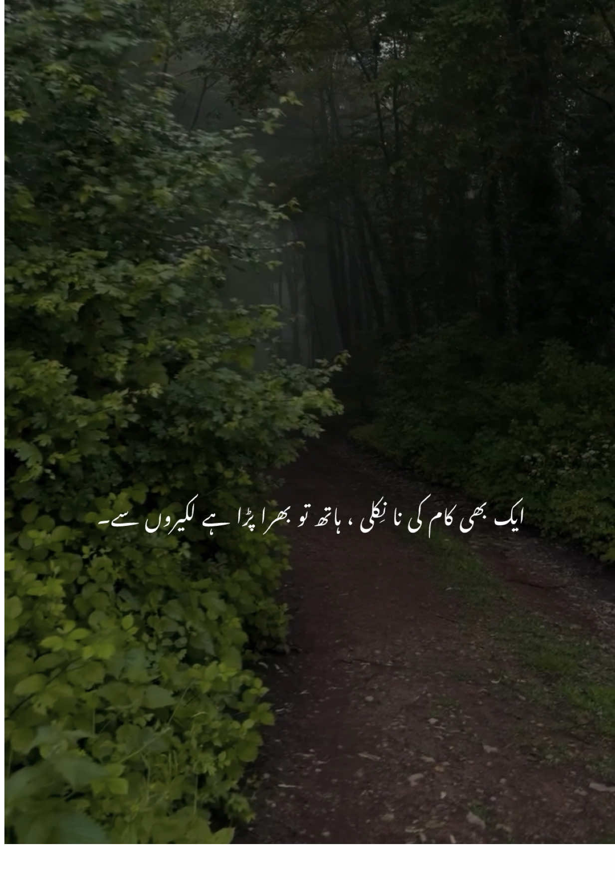 @Huzaifa