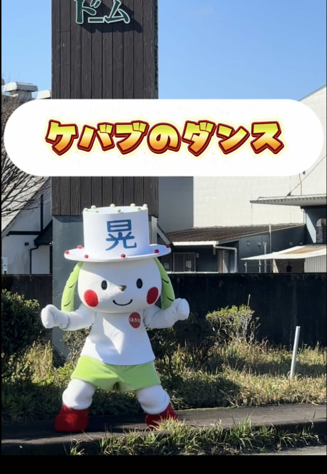 @お茶わんこはがねちゃん 堀口製茶PRキャラ
