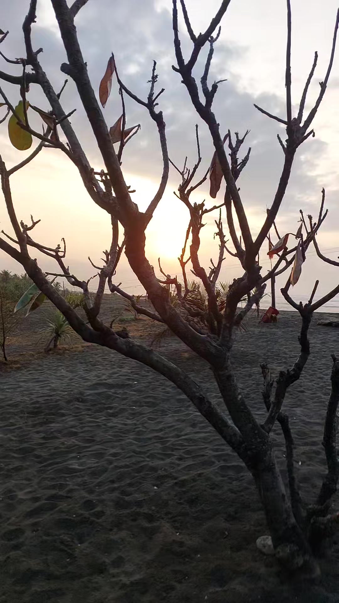 @Kosasih