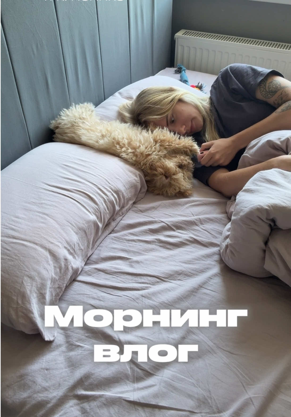 @поликs