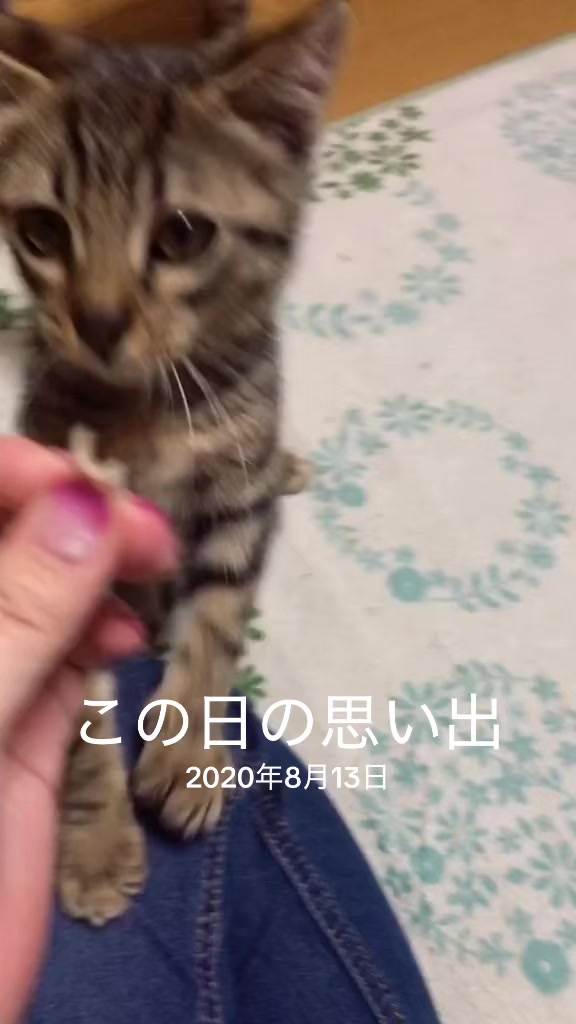 @♪♪ナォ♪♪