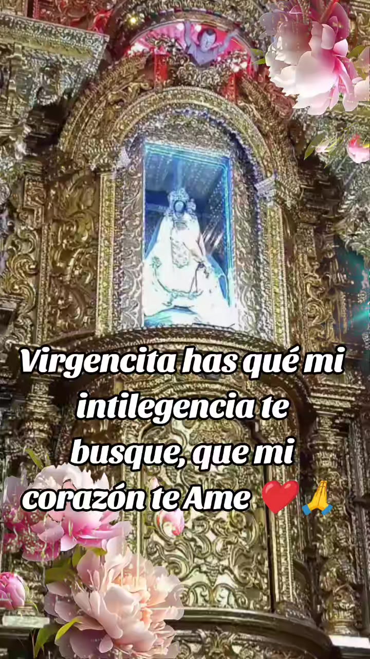 @jorge_caisa