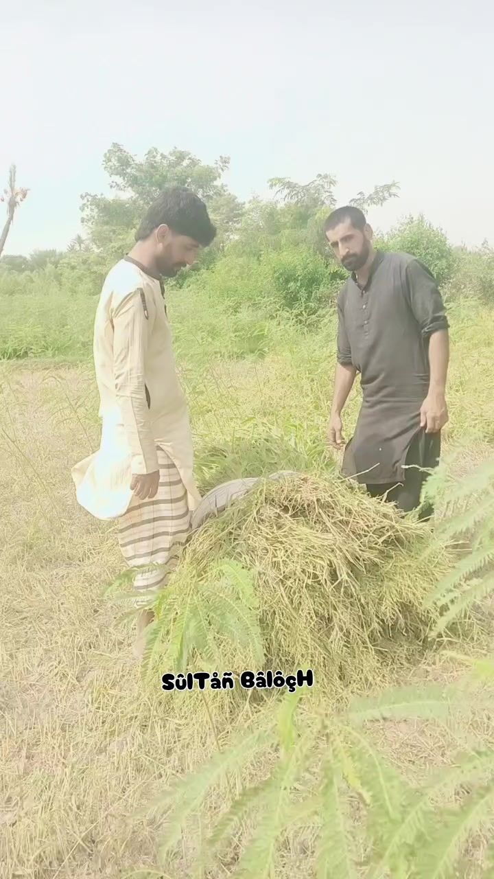 @Sultan Baloch 33