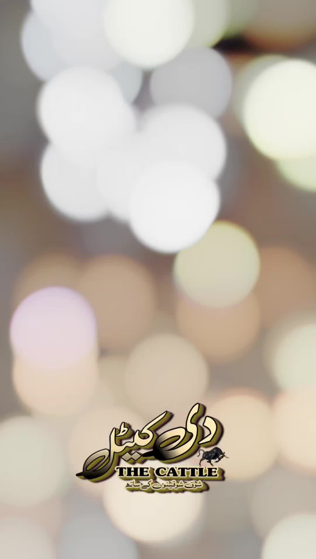 @𝐓𝐇𝐄 𝐂𝐀𝐓𝐓𝐋𝐄 𝐅𝐀𝐑𝐌 &trade;