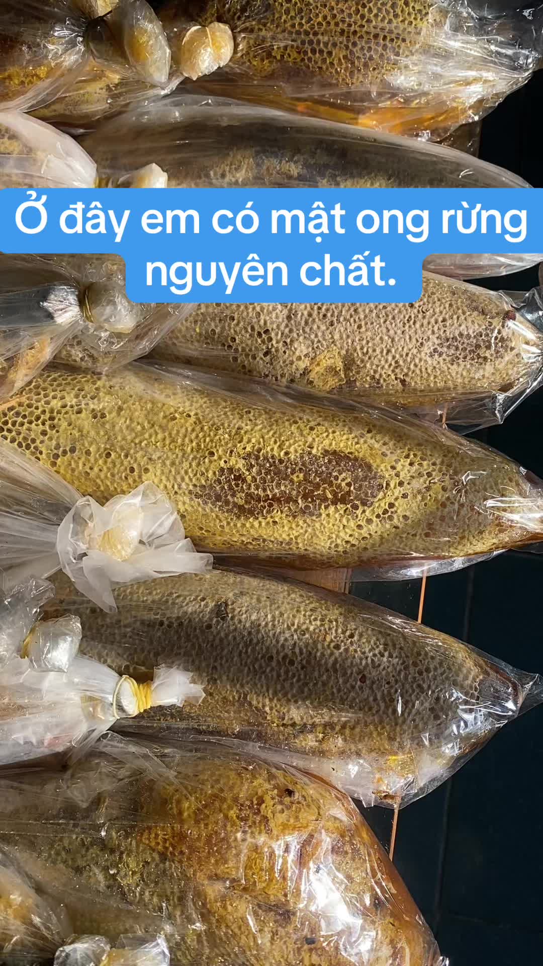@Mật rừng TH&Agrave;NH ĐẠT