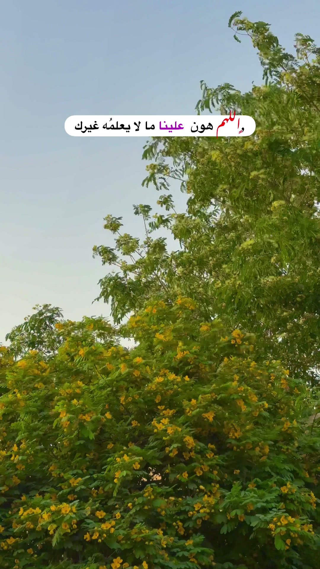 @علاوي