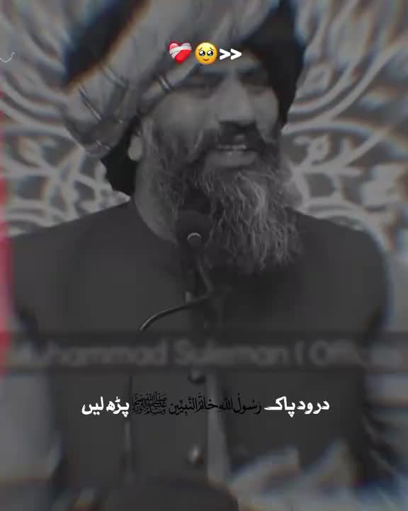 @shahzada ansari