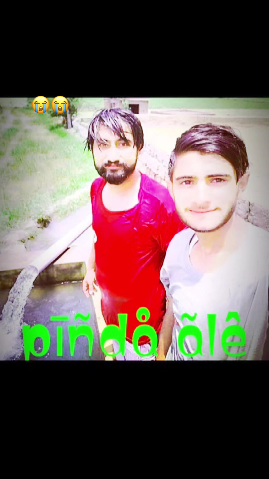 @چوھدری زین ہرل 222گروپ
